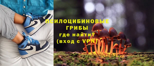 гидра Абдулино
