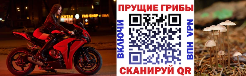 маркетплейс наркотические препараты Инза Галлюциногенные грибы мицелий MEGA как войти